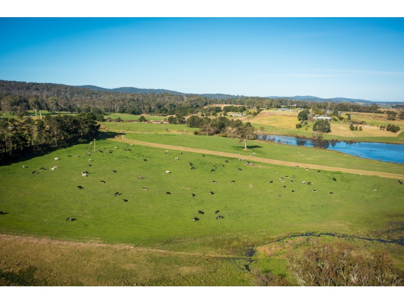 208 Reedy Swamp Road, Bega NSW 2550