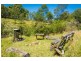 49 Buckleys Ridge Road, Bemboka NSW 2550