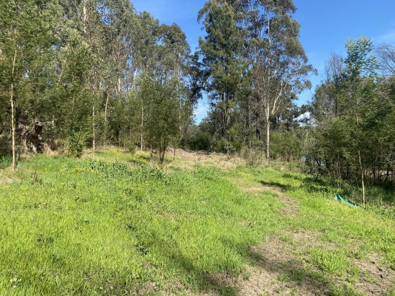 Lot 9, 10, Princes Highway, Cobargo NSW 2550