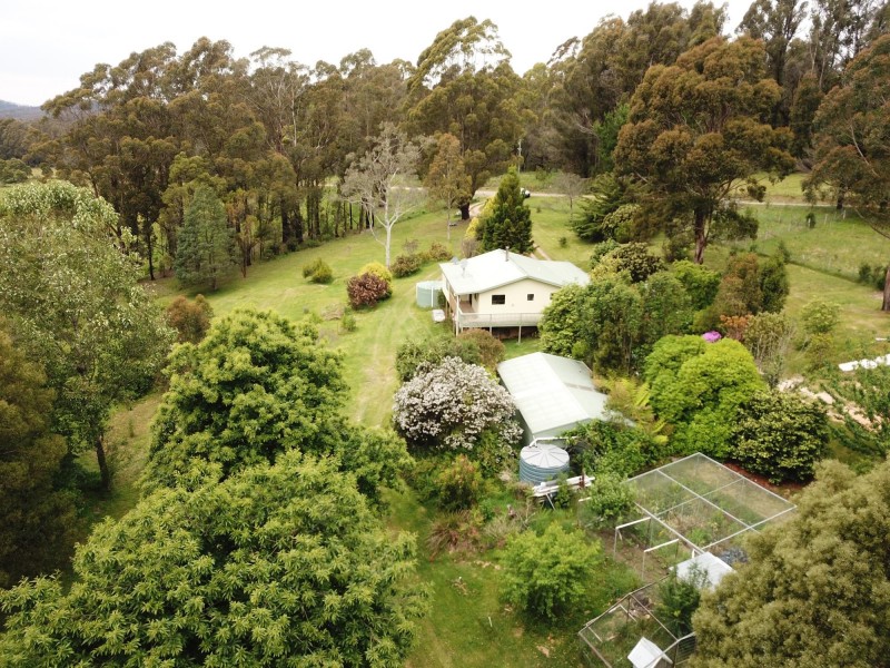 4286 Mount Darragh Road, Wyndham NSW 2550