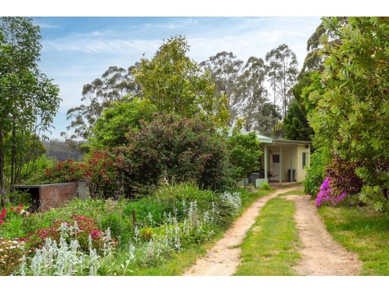 4286 Mount Darragh Road, Wyndham NSW 2550