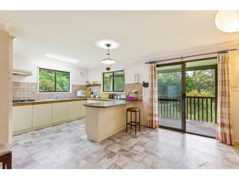 4286 Mount Darragh Road, Wyndham NSW 2550