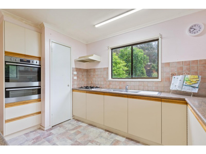 4286 Mount Darragh Road, Wyndham NSW 2550