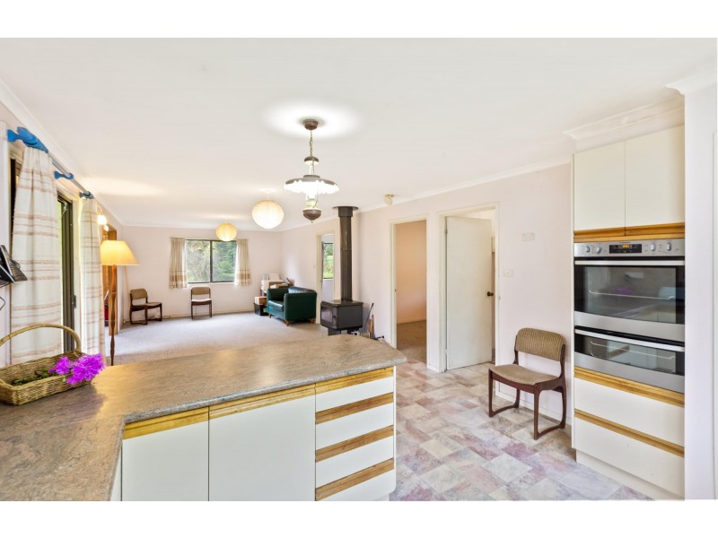 4286 Mount Darragh Road, Wyndham NSW 2550