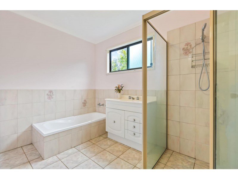 4286 Mount Darragh Road, Wyndham NSW 2550