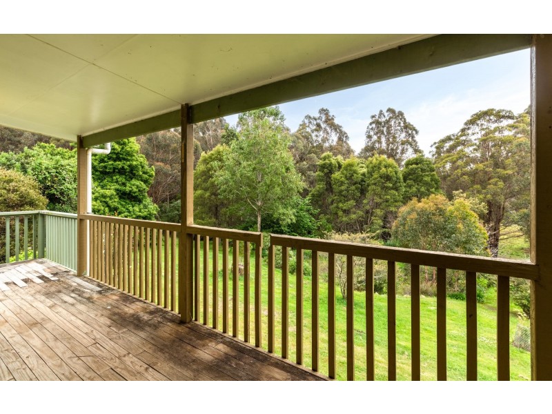 4286 Mount Darragh Road, Wyndham NSW 2550