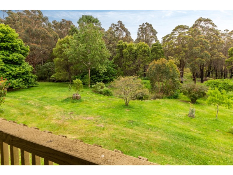 4286 Mount Darragh Road, Wyndham NSW 2550