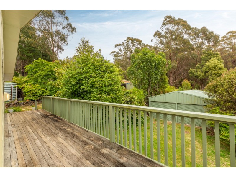 4286 Mount Darragh Road, Wyndham NSW 2550