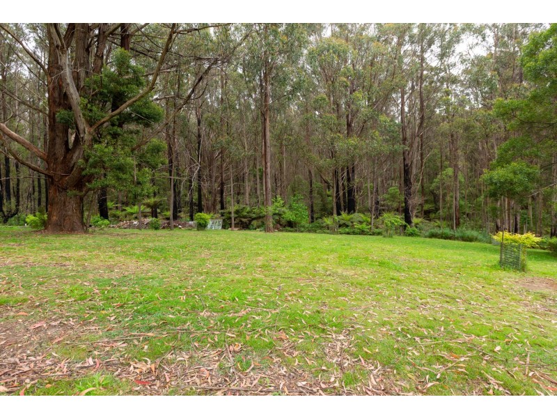 4286 Mount Darragh Road, Wyndham NSW 2550