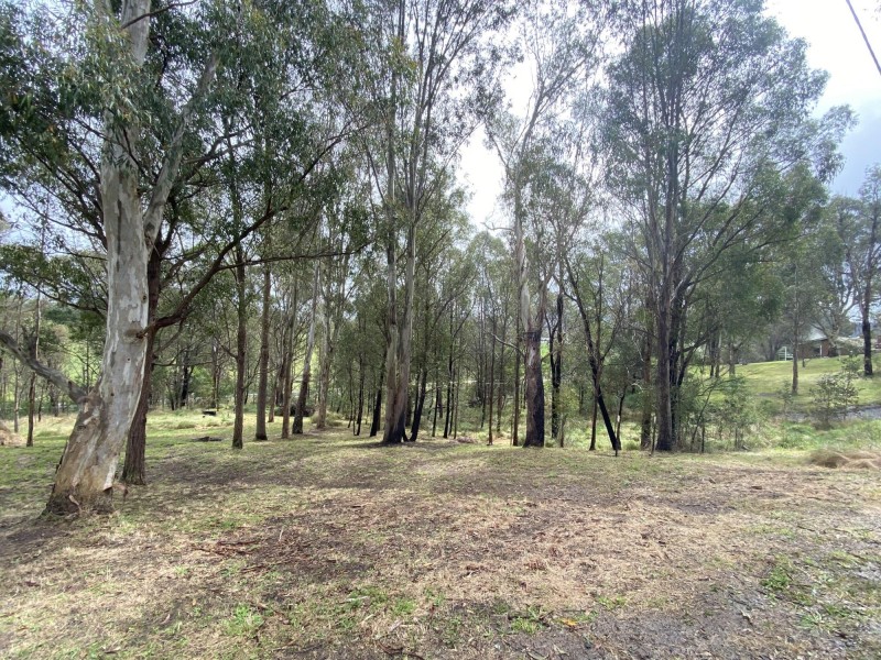 Lots 2 & 3 Gillespie Street, Cobargo NSW 2550