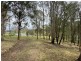 Lots 2 & 3 Gillespie Street, Cobargo NSW 2550