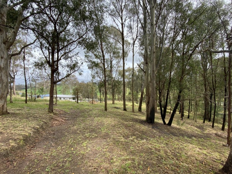 Lots 2 & 3 Gillespie Street, Cobargo NSW 2550