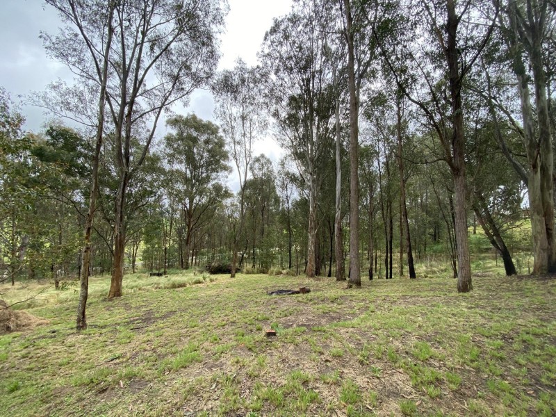 Lots 2 & 3 Gillespie Street, Cobargo NSW 2550