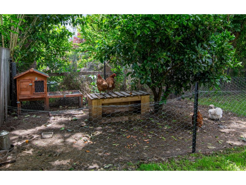 4 Bank Street, Cobargo NSW 2550