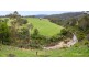 622 New Buildings Rd, Wyndham NSW 2550