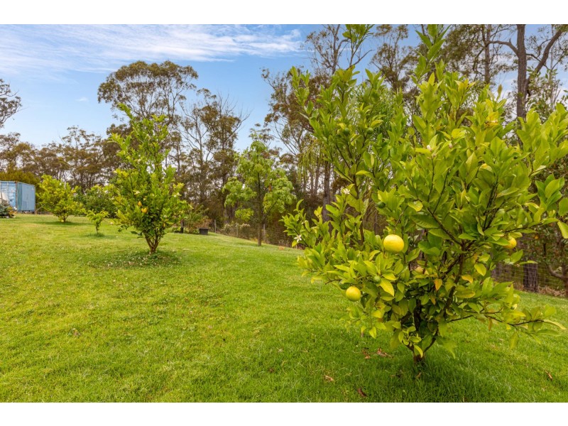 158 Bald Hills Road, Pambula NSW 2549