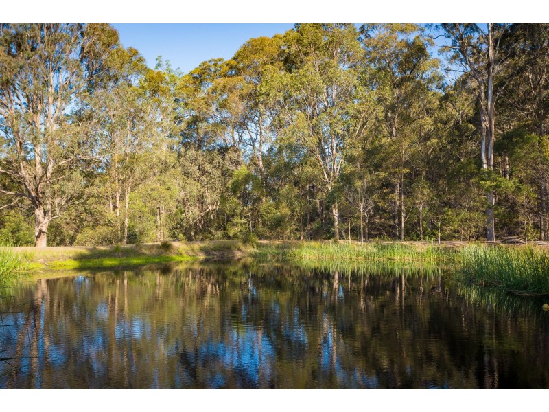 118 Doctor George Mountain Road, Tanja NSW 2550