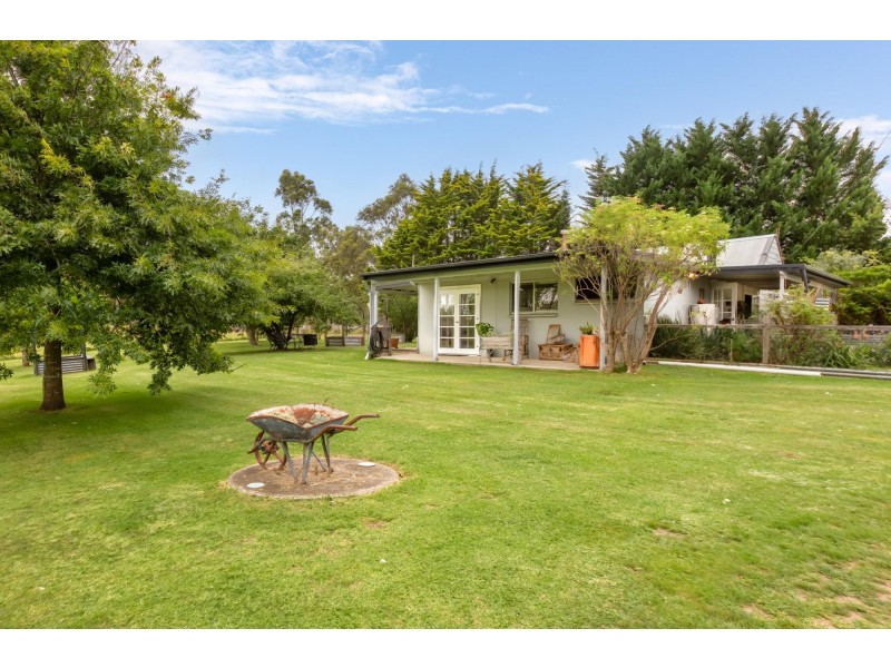 2385 Mount Darragh Road, Wyndham NSW 2550