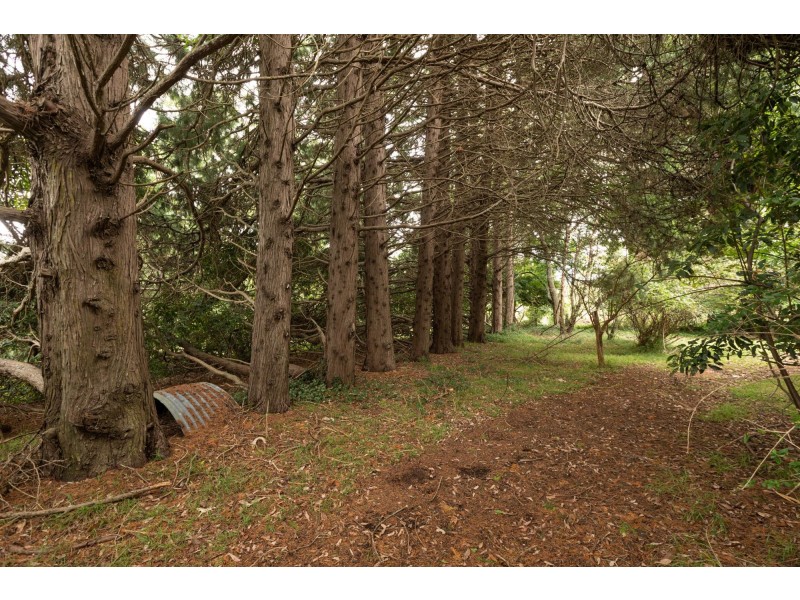 160 Murrays Flat Road, Tarraganda NSW 2550