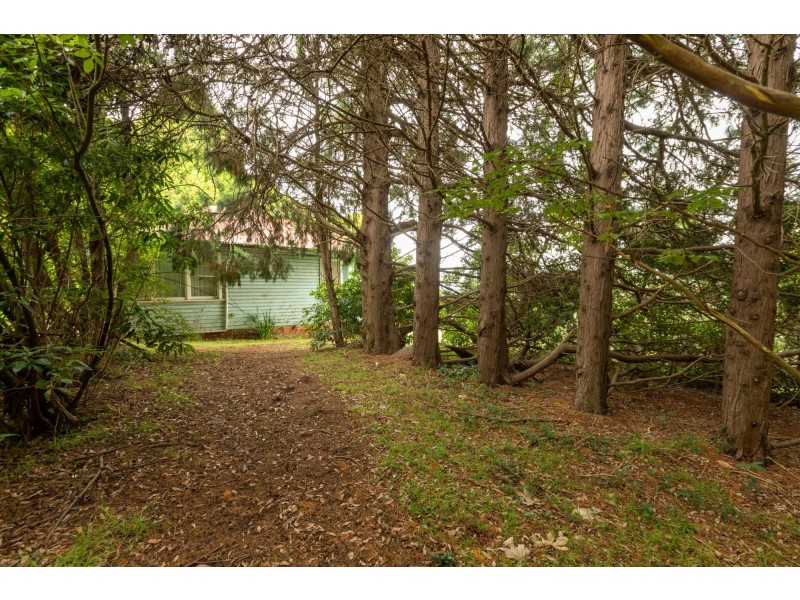 160 Murrays Flat Road, Tarraganda NSW 2550