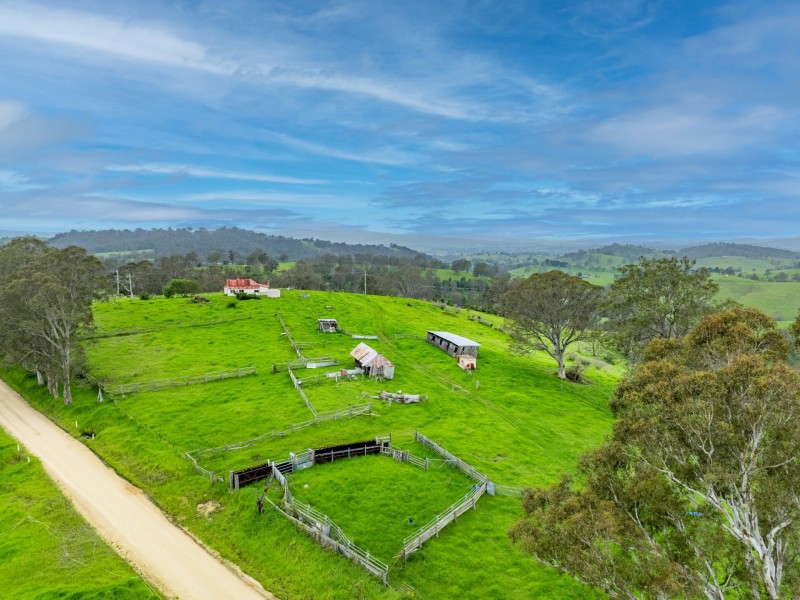 589 Coopers Gully Road, Bega NSW 2550