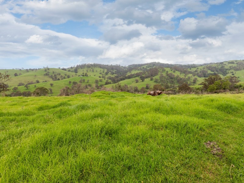 589 Coopers Gully Road, Bega NSW 2550