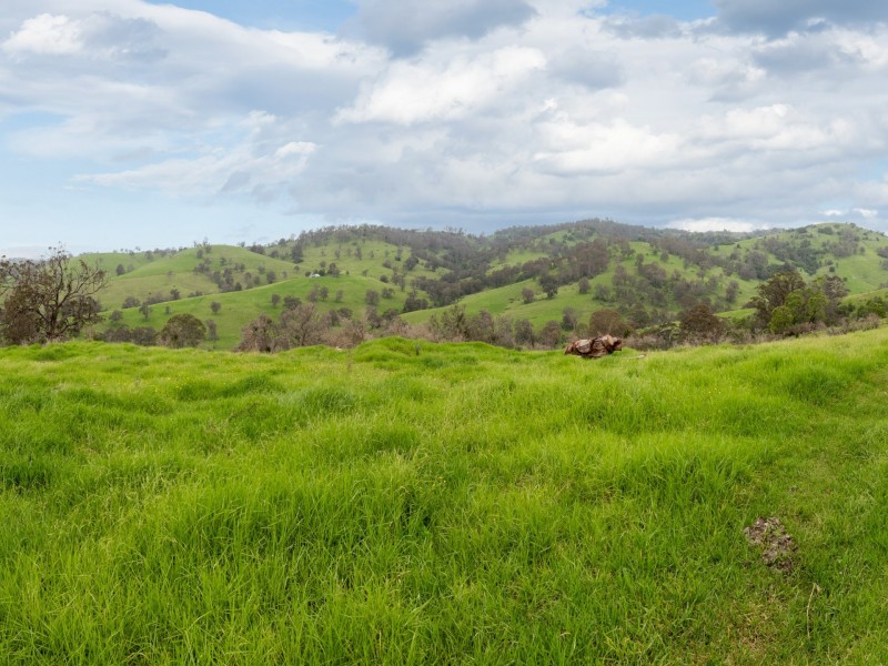 589 Coopers Gully Road, Bega NSW 2550
