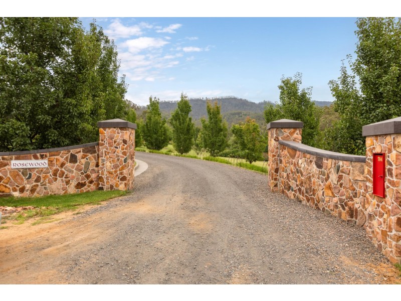 704 Tantawangalo Lane, Candelo NSW 2550