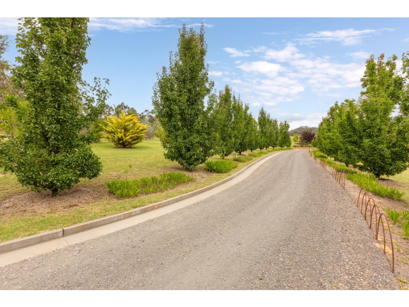 704 Tantawangalo Lane, Candelo NSW 2550