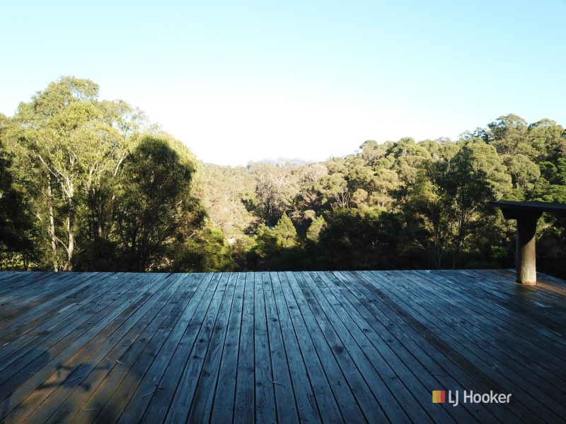 535 Hawks Head Road, Brogo NSW 2550