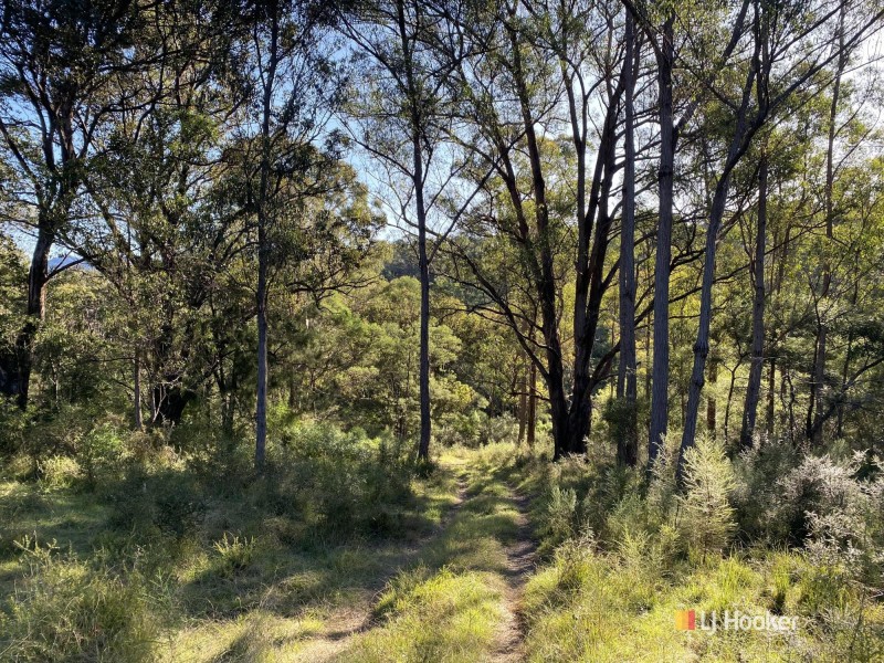 535 Hawks Head Road, Brogo NSW 2550
