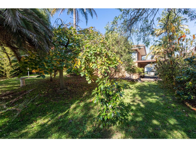 13 Prospect Street, Bega NSW 2550