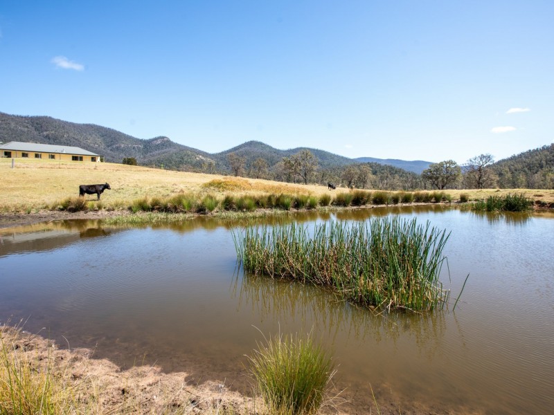 277 Bourkes Road, Cobargo NSW 2550