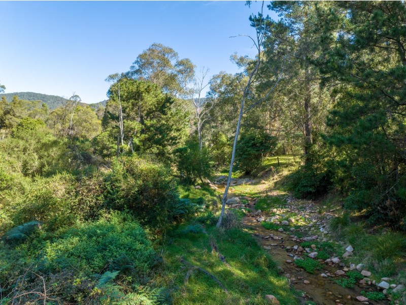 1086 Furners Road, Bemboka NSW 2550