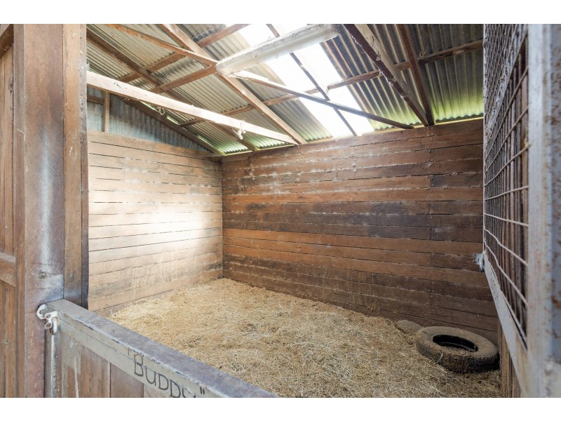 787 Wandella Road, Cobargo NSW 2550