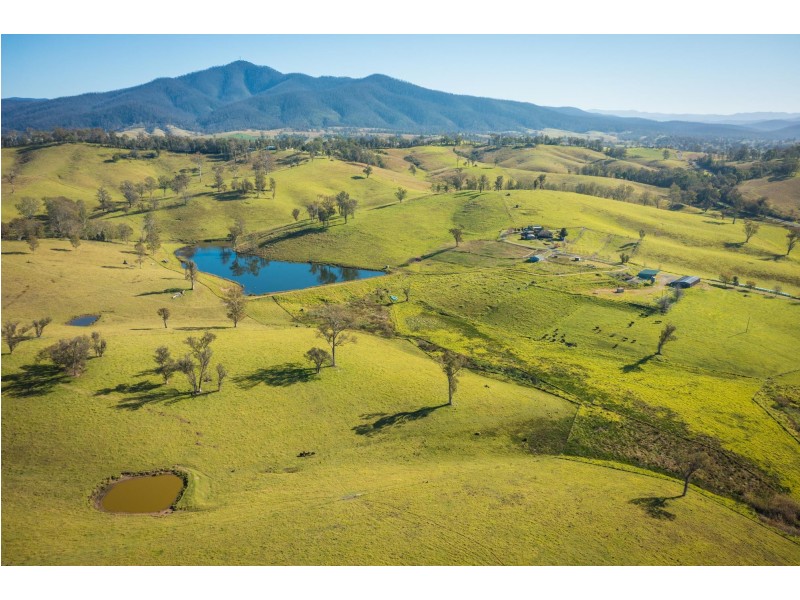 787 Wandella Road, Cobargo NSW 2550