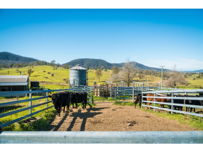 787 Wandella Road, Cobargo NSW 2550