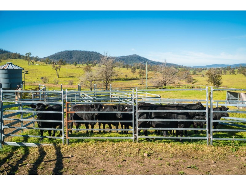 787 Wandella Road, Cobargo NSW 2550