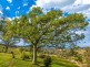 1 County Boundary Road, Cobargo NSW 2550