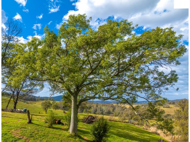 1 County Boundary Road, Cobargo NSW 2550