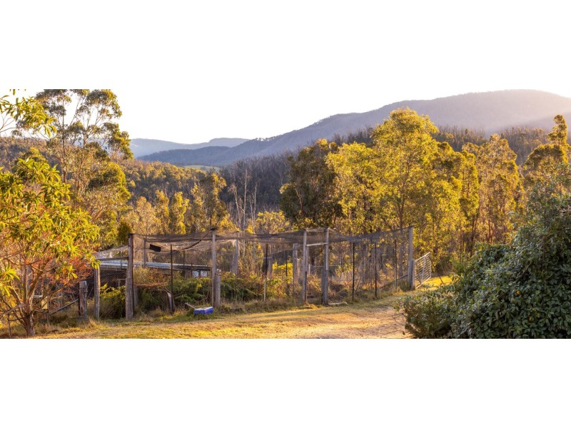 290 Moons Road, Bemboka NSW 2550