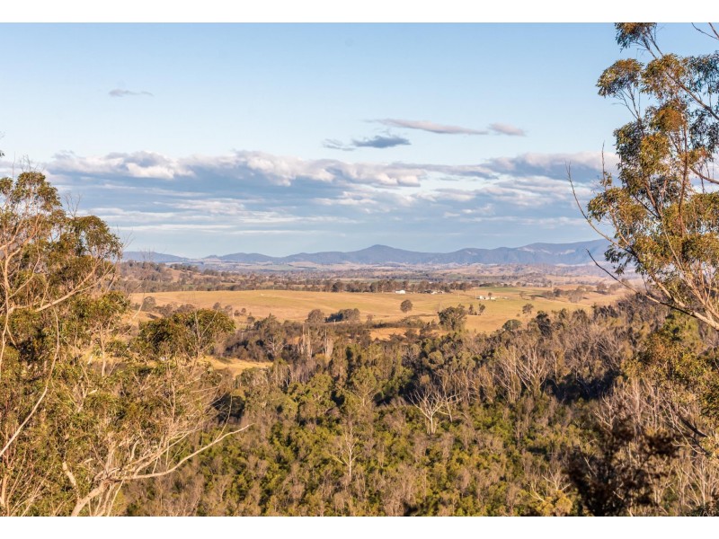 290 Moons Road, Bemboka NSW 2550