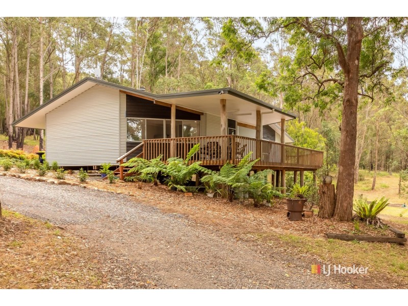 43 Narira Park Lane, Cobargo NSW 2550