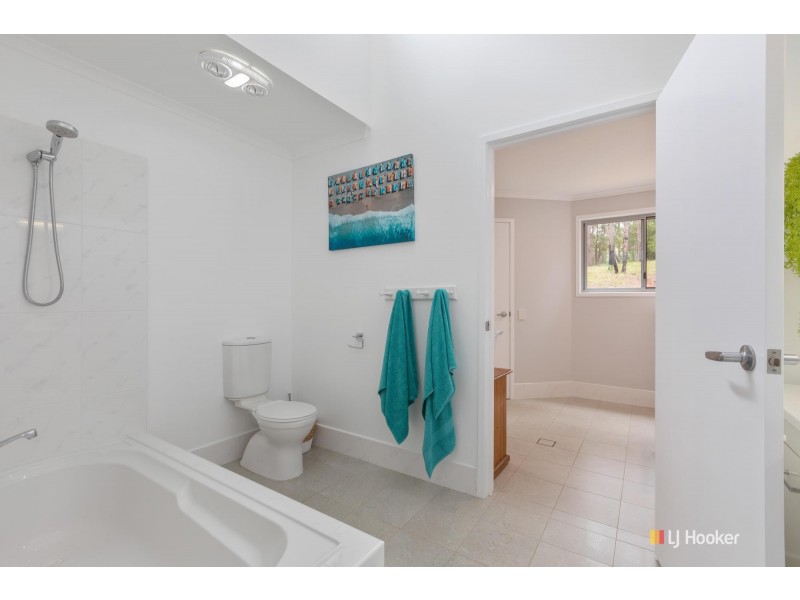 43 Narira Park Lane, Cobargo NSW 2550