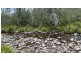 342 Murrabrine Forest Road, Cobargo NSW 2550