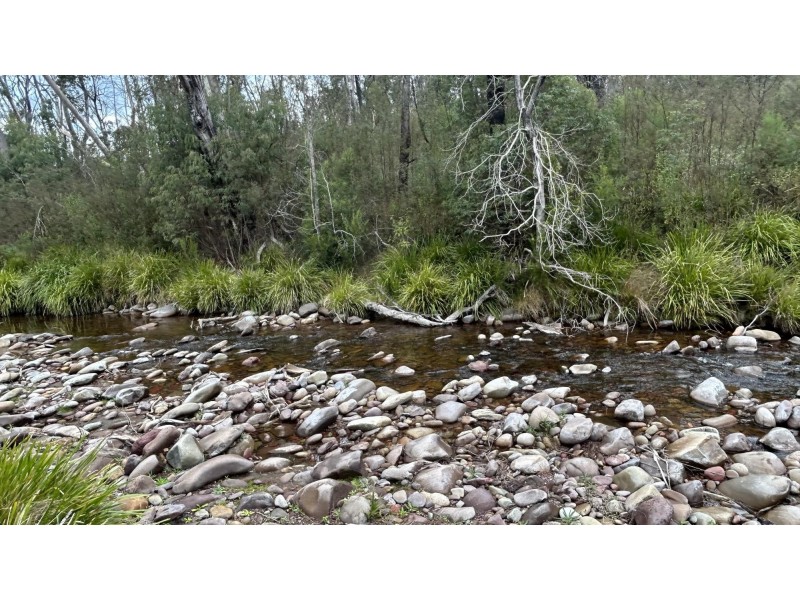 342 Murrabrine Forest Road, Cobargo NSW 2550