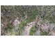342 Murrabrine Forest Road, Cobargo NSW 2550