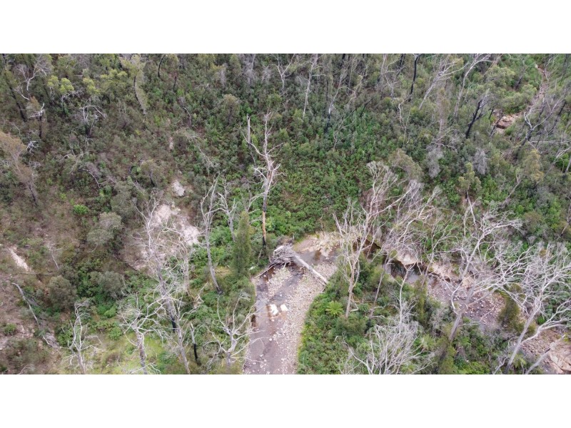 342 Murrabrine Forest Road, Cobargo NSW 2550