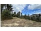 342 Murrabrine Forest Road, Cobargo NSW 2550