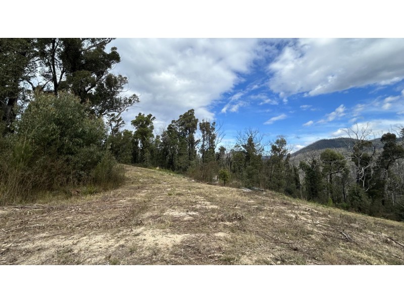 342 Murrabrine Forest Road, Cobargo NSW 2550